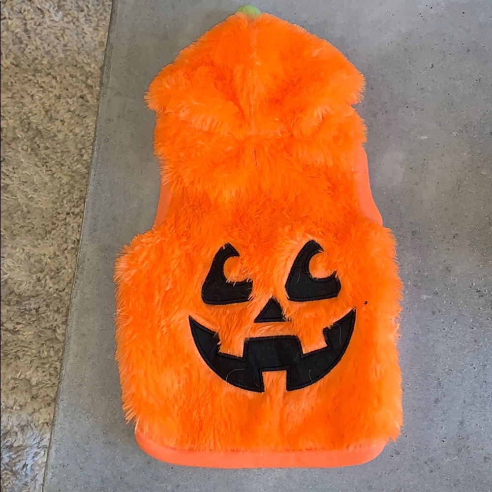 Pumpkin costume for small dogs